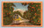 The Streamliner train passing through a California orange grove