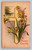 Happy Easter greeting postcard from Caledonia postmarked 1913