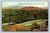 Panorama View of Orange Groves in California