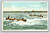 Shooting the Rapids, Sault Ste. Marie Michigan vintage postcard by Detroit Publishing Co.