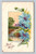 Best Wishes greeting card from Pierrepont New York Series 713 D