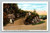 Winding path to the Pinnacle in City Park Watertown NY postcard