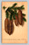 I'm Pining My Heart Away For You text postcard from Alhambra, California