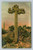 Giant cactus 30 feet high with 10 feet arm postcard