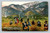 Gathering Poppies in Wintertime California State Flower postcard