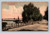 Shore Road at Manhassett Bay, Great Neck vintage postcard