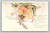 Floral and fruit birthday greetings postcard from Belvidere Illinois