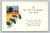Birthday greeting card with text A Birthday Wish, Joy and sunshine Skies all blue