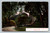 Rustic Bridge and Stone Steps on the Campus of U.C. Berkeley