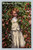 Cherries are ripe postcard published by EDW. H. MITCHELL San Francisco