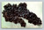 Raisin Industry London Layers Fresno California postcard by Edward H. Mitchell