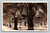 Coachella Valley Date Garden Indio California vintage postcard