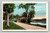Lake Hollingsworth Drive street scene postcard Lakeland Florida