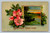 Birthday greetings postcard printed in Saxony Germany