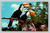 Toco Toucans and Orchids at Caribbean Gardens Naples Florida postcard