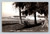 Municipal Pier Sarasota Florida postcard published by Chamber of Commerce