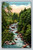 West Prong of Little Pigeon River Great Smoky Mountains National Park postcard