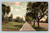 Adams Street looking west from Chester Place Los Angeles 1903 postcard