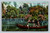 Boating at Hollenbeck Park Los Angeles California postcard