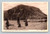 Junction of Firehole and Gibbon Rivers in Yellowstone Park Haynes postcard