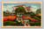The Italian Gardens of a Southern California Home postcard by Western Publishing