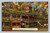 East Tiers of Unique Roosts-Topsy's Chicken Roost at Chutes at the Beach San Francisco postcard