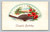 Cheerful Birthday greeting postcard from Belvidere USA