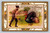 Thanksgiving Greetings postcard from Belvidere USA