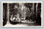 Camping at Big Basin California postcard by Pacific Novelty Co.
