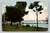 Waukesha Beach Wisconsin scenic view postcard by L. Kropp Co Milwaukee