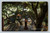 Living Room in a Live Oak postcard by M. Rieder, made in Germany