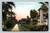 Chester Place street scene Los Angeles California postcard by M. Rieder