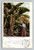 Vintage postcard of banana tree in Southern California by M. Rieder