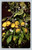 California Lemons and Lemon Blossoms