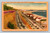 Movie stars' beach homes in Santa Monica California vintage postcard