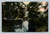 Creek Scene at San Luis Hot Sulphur Springs California handcolored postcard