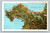 Map of Monterey Peninsula California showing points of interest