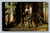 The Cathedral Tree in the Big Tree Grove Santa Cruz California large trees and nine small growing from one stump
