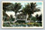 City Park fountain and bandstand in West Palm Beach Florida postcard