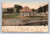 Kirkside Park in Roxbury New York vintage postcard