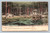 Concert at Sacandaga Park New York 1905 postcard