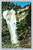 Year around waterfall at Mt. Baldy California