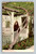 Sherman Rose Tree postcard by DEL MONTE CURIO ROOM