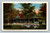 Picnic Pavilion in Riverside Park Elmira NY vintage postcard