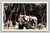 View of Up Mt. Wilson mountain landscape 1917
