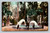 Fountain in St. James Park San Jose California vintage postcard