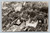Bird's eye view of Los Angeles cityscape vintage postcard by Angeleno Photo Service