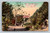 Central Park with State Normal School in the distance, Los Angeles California postcard