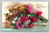 Birthday congratulations greeting card by Chingy