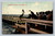 First Call For Dinner Long Beach Cal vintage postcard by Western Pub. & Novelty